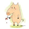 Piggy 的头像
