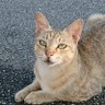 まる profil fotoğrafı
