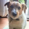 Profilbild von ruby