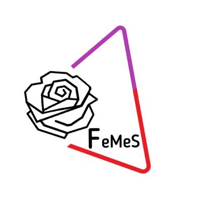 FemSocialistas's profile picture