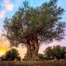 Фото профиля Amber Stein