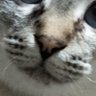 FGaPiC profil fotoğrafı