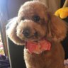 ひで's profile picture