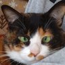 にこにこつるちゃんです 的头像
