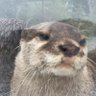 Profilbild von せんた