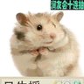 vffhjbh's profile picture