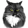 Profilbild von ian
