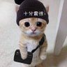 Фото профиля 肆意