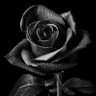 Фото профиля reema