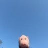 Profilbild von くわ