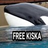 #freekiska ocean surfers will surf again's profile picture