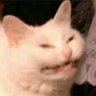 Car Enjoyer's profile picture