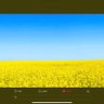 Nicola 🇺🇦🇺🇦🇺🇦 profil fotoğrafı