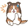 Profilbild von わたね