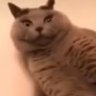 Profilbild von H W