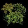 Фото профиля Укроповець