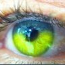 Nodiosmio🇺🇦🕊️'s profile picture