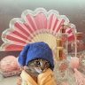 Dylan McDermott Mulroney's profile picture