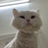 Profilbild von badr
