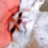 Profilbild von ᅟ