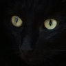 imię i nazwisko's profile picture