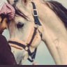Фото профиля طير شلوى