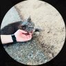 Profilbild von こう 🏠 ‎⋆ 🦫