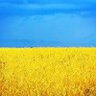Sean #StopRussianAggression #StandWithUkraine profil fotoğrafı