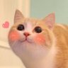 Gavin Vort's profile picture