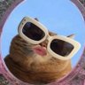 Stella's profile picture