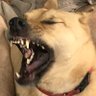 David's profile picture