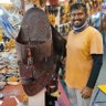 Bharath Asokan profil fotoğrafı