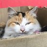 まお profil fotoğrafı