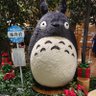 たかぼぅ's profile picture