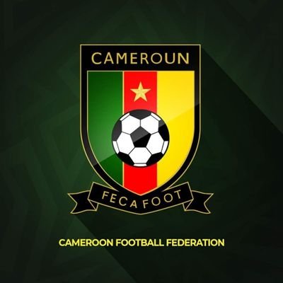 FecafootOfficie's profile picture