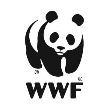 WWFnoticias's profile picture
