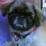 Jo Ann Anderson's profile picture