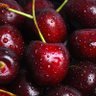 🍒Ekaterina🍒's profile picture