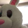 SentientBunnySuit🐰 profil fotoğrafı