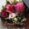 Profilbild von نور الحياه