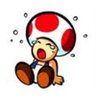 Salty Toad🌳 的头像