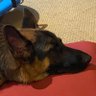 Profilbild von evie1015