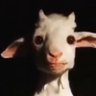 Zoschino's profile picture