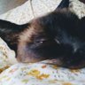 ☀️Lucesita🌙 profil fotoğrafı