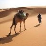 مسافر 的头像