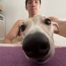 Profilbild von Justin Shaun Chua