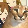 MeowfySyrup 的头像