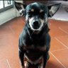 la negra profil fotoğrafı