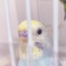 Profilbild von な
