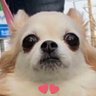 hazurin's profile picture